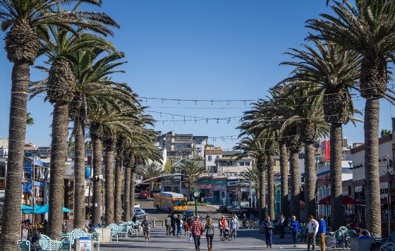 Daytime seaside cityscape with palm trees lining the street